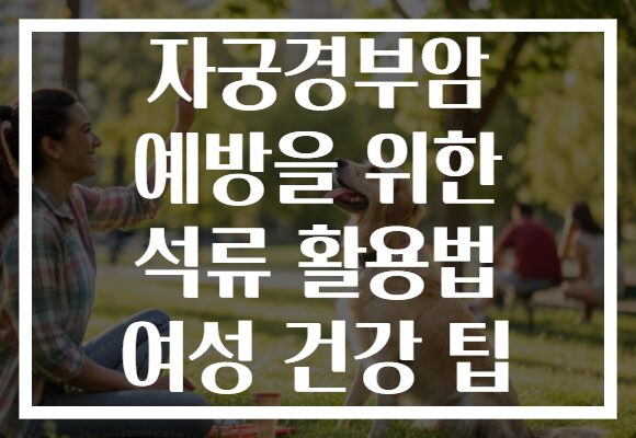 자궁경부암 예방을 위한 석류 활용법 여성 건강 팁 자궁경부암 예방을 위한 석류 활용법 여성 건강 팁