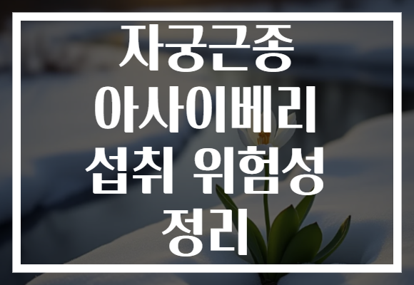 자궁근종 아사이베리 섭취 위험성 정리