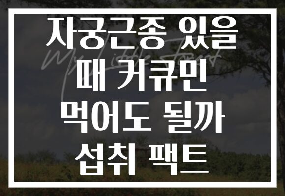 자궁근종 있을 때 커큐민 먹어도 될까 섭취 팩트
