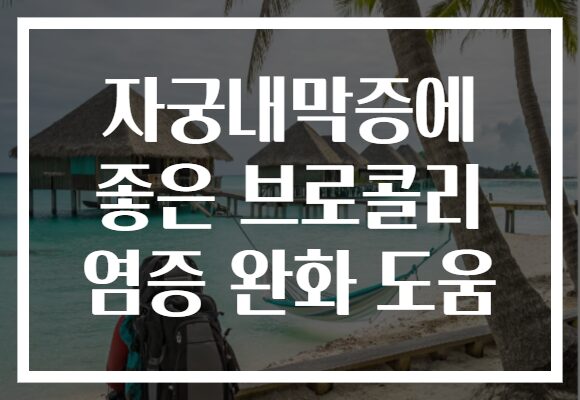 자궁내막증에 좋은 브로콜리 염증 완화 도움