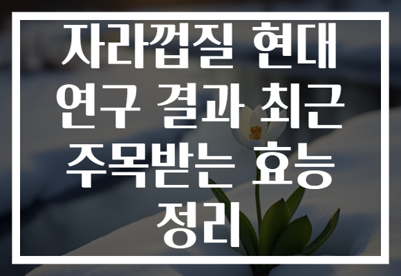자라껍질 현대 연구 결과 최근 주목받는 효능 정리 자라껍질 현대 연구 결과 최근 주목받는 효능 정리