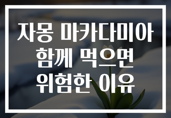 자몽 마카다미아 함께 먹으면 위험한 이유