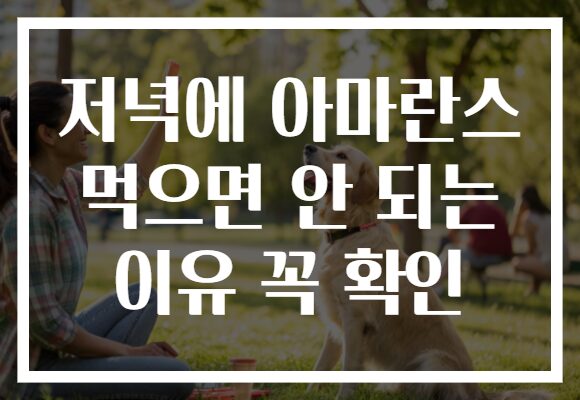 저녁에 아마란스 먹으면 안 되는 이유 꼭 확인