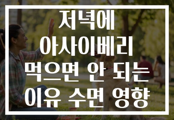 저녁에 아사이베리 먹으면 안 되는 이유 수면 영향