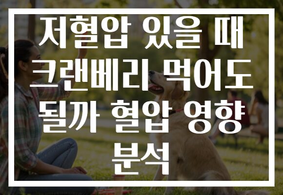 저혈압 있을 때 크랜베리 먹어도 될까 혈압 영향 분석