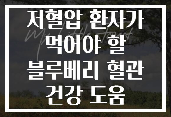 저혈압 환자가 먹어야 할 블루베리 혈관 건강 도움