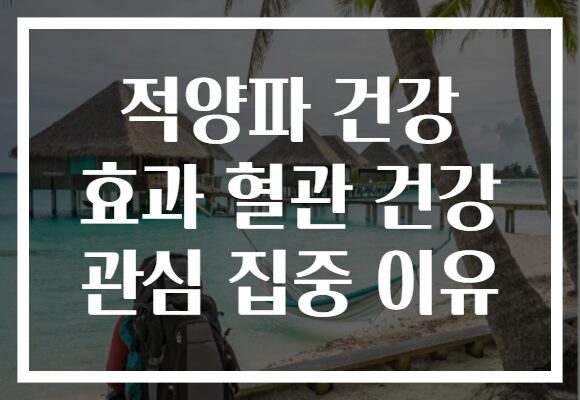 적양파 건강 효과 혈관 건강 관심 집중 이유 적양파 건강 효과 혈관 건강 관심 집중 이유