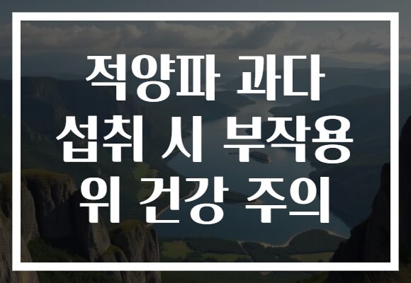 적양파 과다 섭취 시 부작용 위 건강 주의
