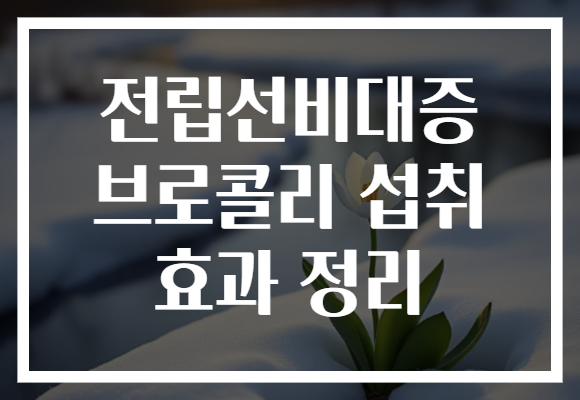 전립선비대증 브로콜리 섭취 효과 정리