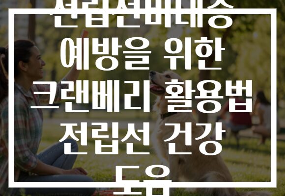 전립선비대증 예방을 위한 크랜베리 활용법 전립선 건강 도움