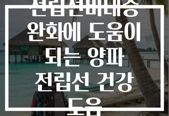 전립선비대증 완화에 도움이 되는 양파 전립선 건강 도움