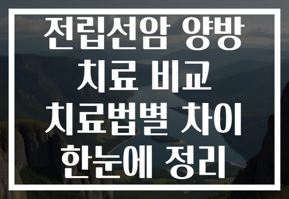 전립선암 양방 치료 비교 치료법별 차이 한눈에 정리 전립선암 양방 치료 비교 치료법별 차이 한눈에 정리