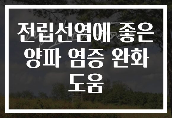 전립선염에 좋은 양파 염증 완화 도움