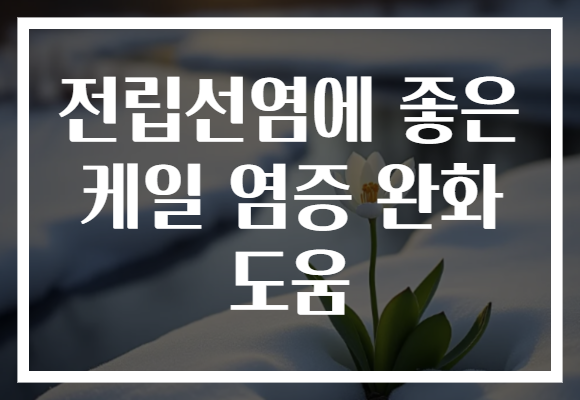 전립선염에 좋은 케일 염증 완화 도움 전립선염에 좋은 케일 염증 완화 도움