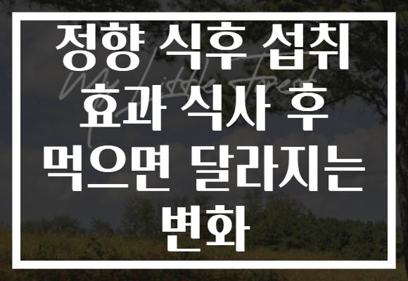 정향 식후 섭취 효과 식사 후 먹으면 달라지는 변화