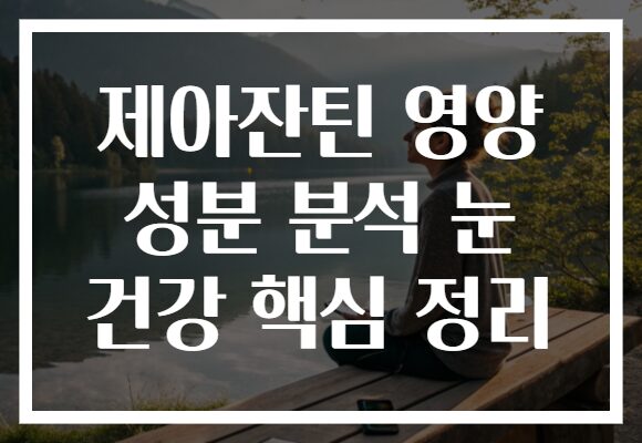 제아잔틴 영양 성분 분석 눈 건강 핵심 정리