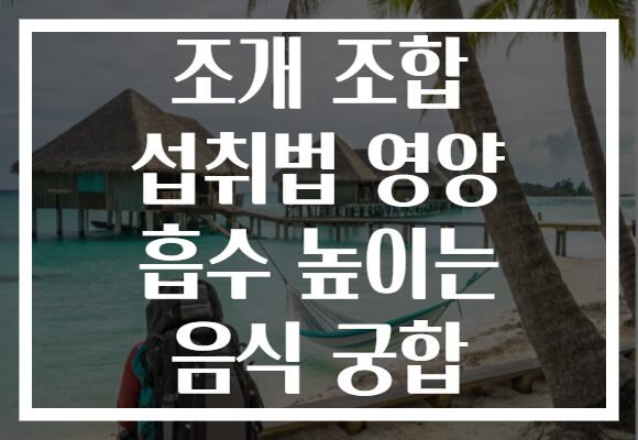 조개 조합 섭취법 영양 흡수 높이는 음식 궁합 조개 조합 섭취법 영양 흡수 높이는 음식 궁합
