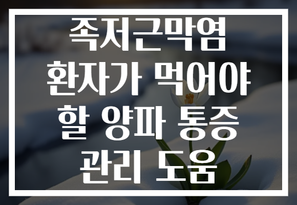 족저근막염 환자가 먹어야 할 양파 통증 관리 도움 족저근막염 환자가 먹어야 할 양파 통증 관리 도움