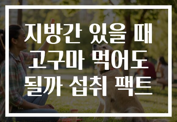 지방간 있을 때 고구마 먹어도 될까 섭취 팩트