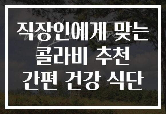 직장인에게 맞는 콜라비 추천 간편 건강 식단