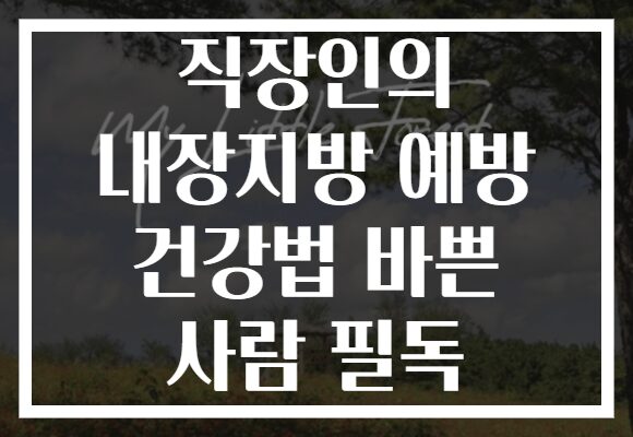 직장인의 내장지방 예방 건강법 바쁜 사람 필독