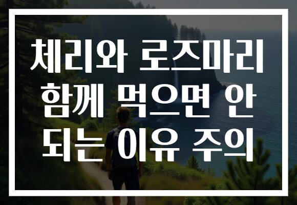 체리와 로즈마리 함께 먹으면 안 되는 이유 주의