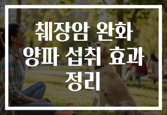 췌장암 완화 양파 섭취 효과 정리