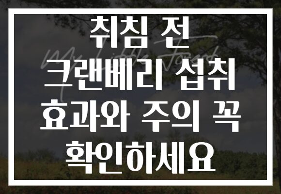 취침 전 크랜베리 섭취 효과와 주의 꼭 확인하세요
