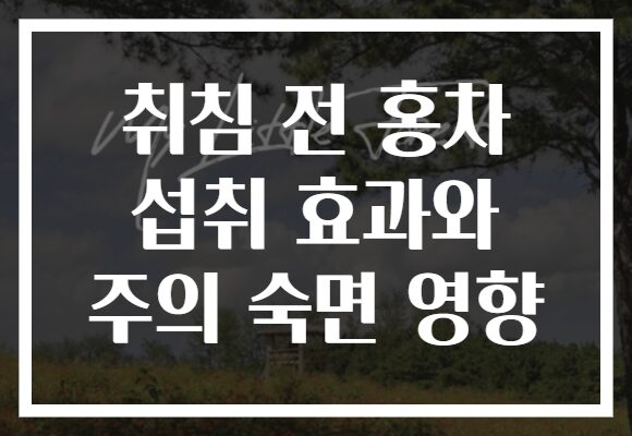 취침 전 홍차 섭취 효과와 주의 숙면 영향