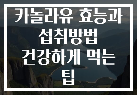 카놀라유 효능과 섭취방법 건강하게 먹는 팁 카놀라유 효능과 섭취방법 건강하게 먹는 팁