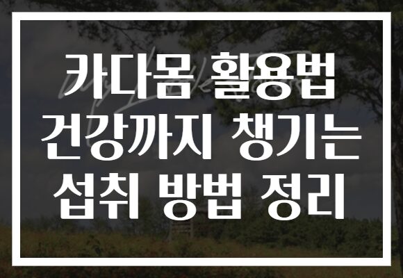 카다몸 활용법 건강까지 챙기는 섭취 방법 정리 카다몸 활용법 건강까지 챙기는 섭취 방법 정리