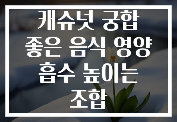 캐슈넛 궁합 좋은 음식 영양 흡수 높이는 조합