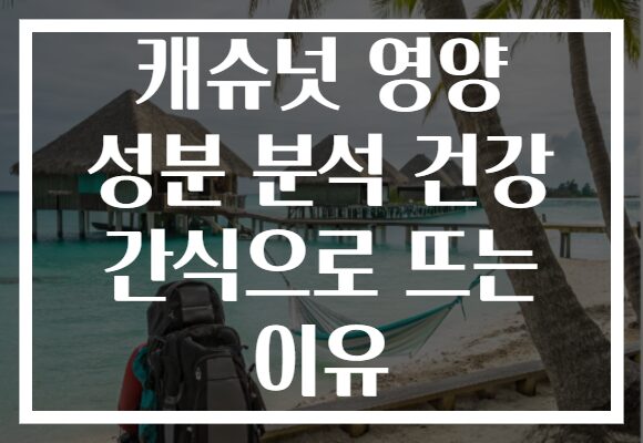 캐슈넛 영양 성분 분석 건강 간식으로 뜨는 이유