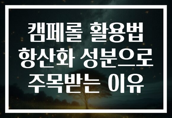 캠페롤 활용법 항산화 성분으로 주목받는 이유