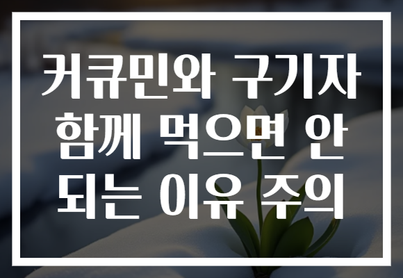 커큐민와 구기자 함께 먹으면 안 되는 이유 주의