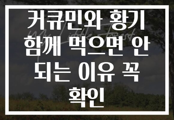 커큐민와 황기 함께 먹으면 안 되는 이유 꼭 확인 커큐민와 황기 함께 먹으면 안 되는 이유 꼭 확인
