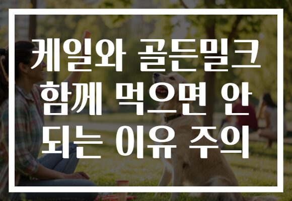 케일와 골든밀크 함께 먹으면 안 되는 이유 주의