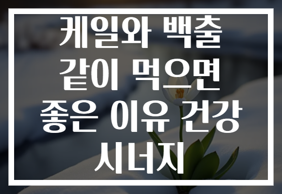 케일와 백출 같이 먹으면 좋은 이유 건강 시너지