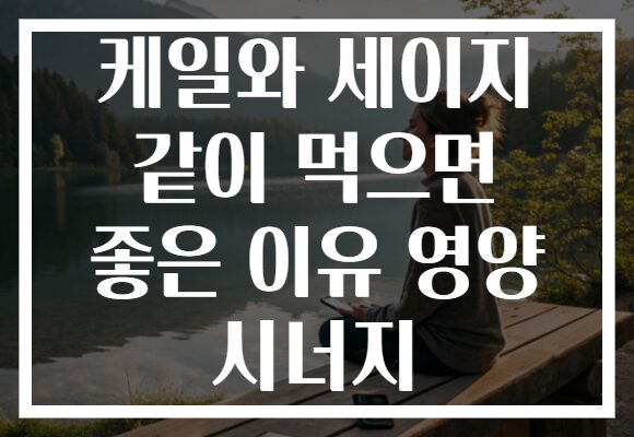 케일와 세이지 같이 먹으면 좋은 이유 영양 시너지