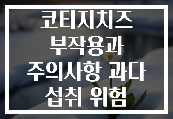 코티지치즈 부작용과 주의사항 과다 섭취 위험