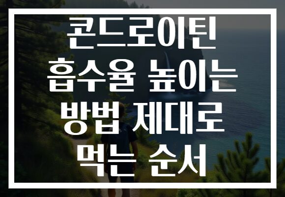 콘드로이틴 흡수율 높이는 방법 제대로 먹는 순서