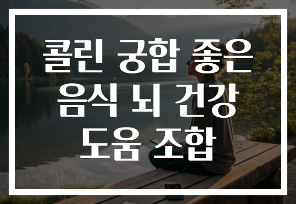 콜린 궁합 좋은 음식 뇌 건강 도움 조합