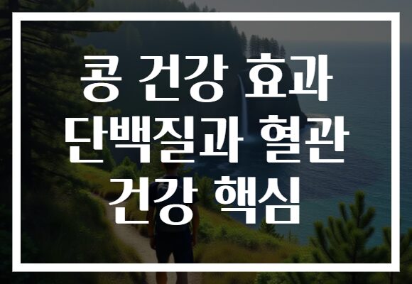 콩 건강 효과 단백질과 혈관 건강 핵심