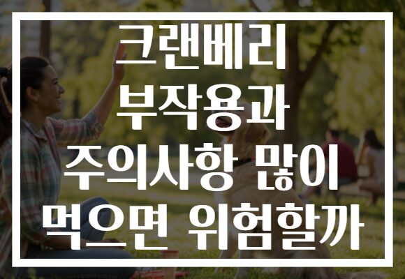 크랜베리 부작용과 주의사항 많이 먹으면 위험할까 크랜베리 부작용과 주의사항 많이 먹으면 위험할까
