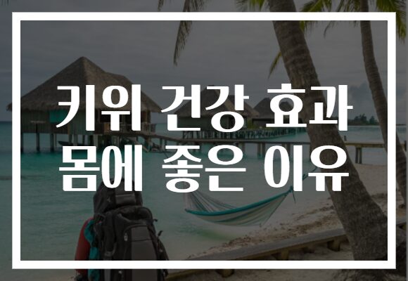 키위 건강 효과 몸에 좋은 이유