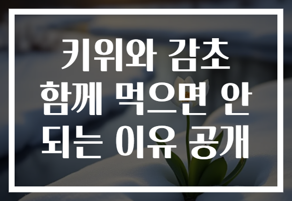 키위와 감초 함께 먹으면 안 되는 이유 공개