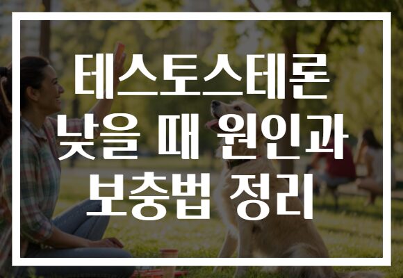 테스토스테론 낮을 때 원인과 보충법 정리