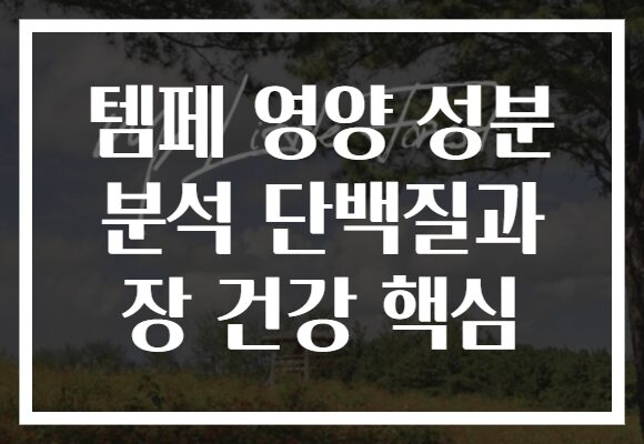 템페 영양 성분 분석 단백질과 장 건강 핵심