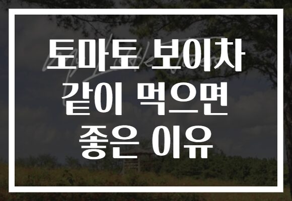 토마토 보이차 같이 먹으면 좋은 이유
