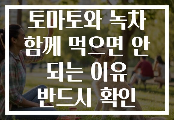 토마토와 녹차 함께 먹으면 안 되는 이유 반드시 확인 토마토와 녹차 함께 먹으면 안 되는 이유 반드시 확인